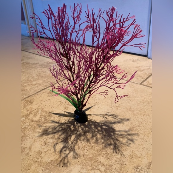 Top Fin Coral Aquarium Plant - Picture 2 of 8